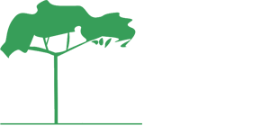heyday-logo